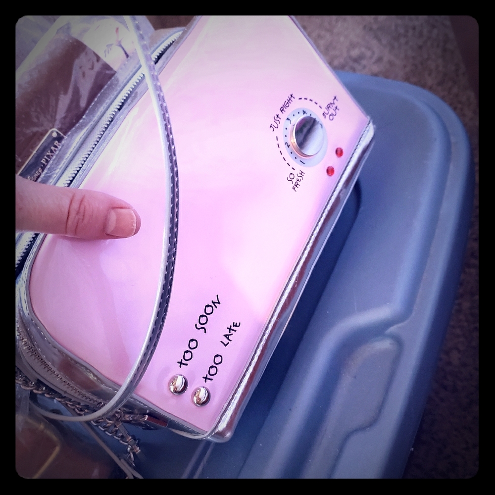 Betsey Johnson toaster purse